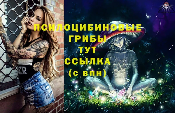 мет Алексин