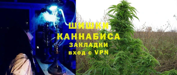 мет Алексин