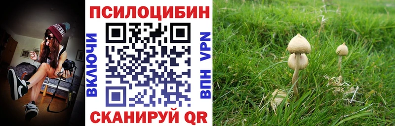 Псилоцибиновые грибы ЛСД  omg вход  Долинск 